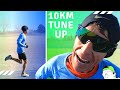 Naples Half Marathon Tune-Up 10K | Tune-up Races Strategy