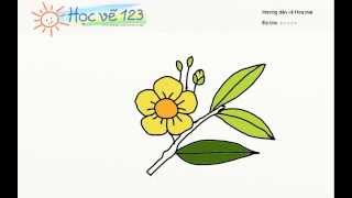 6 Bước vẽ cành hoa mai bằng bút chì đơn giản  Zest Art