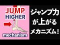 What changes occur in your body and form as your jumping power increases?