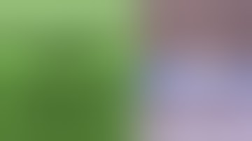 Everything Monotub - 3 Ways to Figure Out How Much Grain Spawn You Need for a Mushroom Grow Project