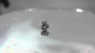 DSC 0125