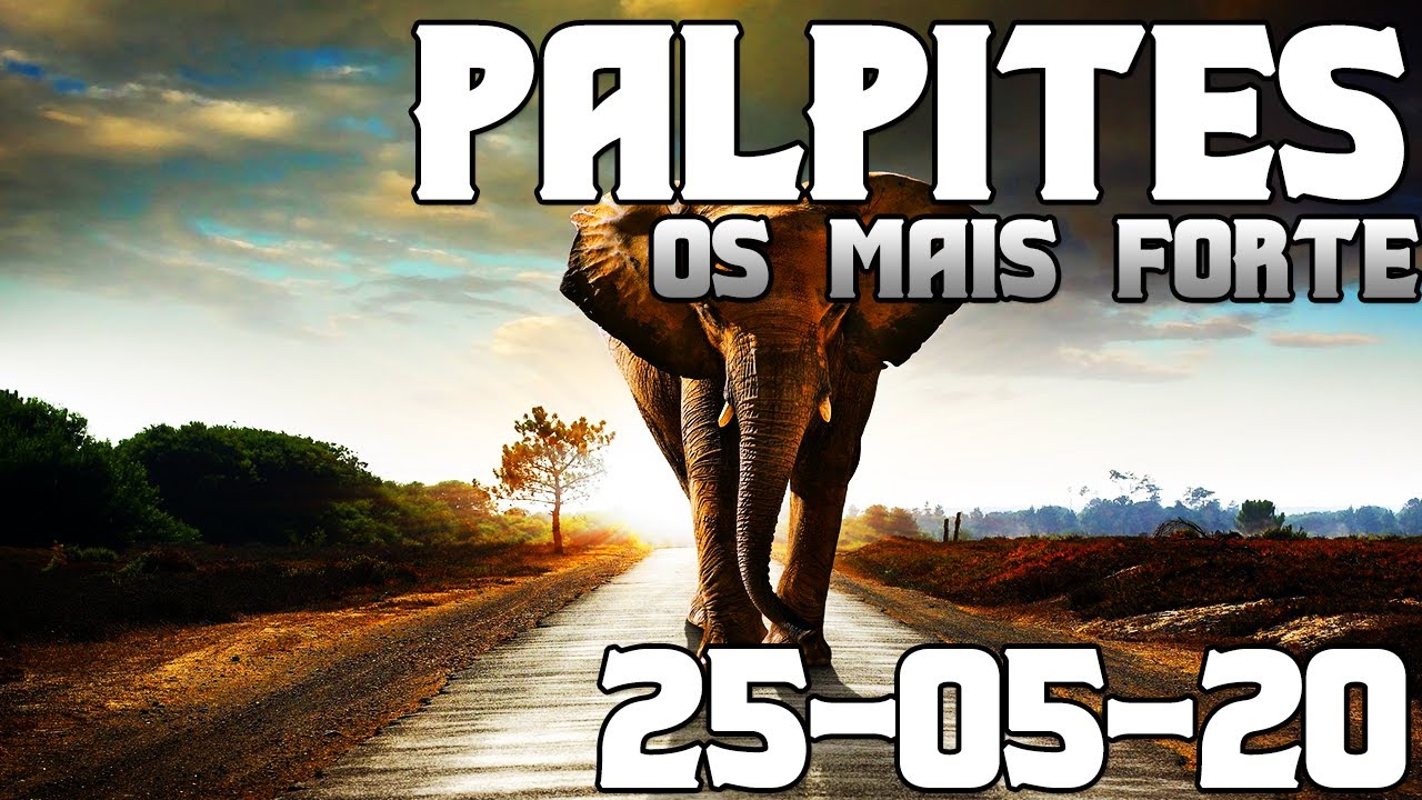 palpites bets amanhã