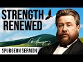 user img