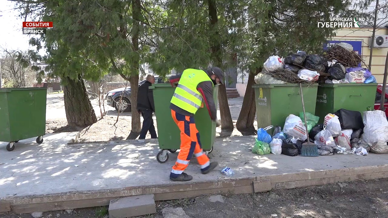 Брянцев предупредили об увеличении штрафов за свалку мусора - YouTube