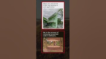 Do You Know Someone Like This ❓😂 #memes #programming #html #coding #techtok