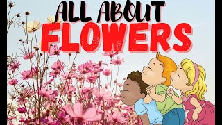 ALL ABOUT FLOWERS