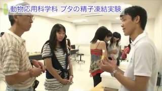 オープンキャンパス2013(3)実習体験コーナー