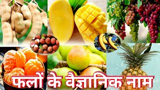 Fruits name / Scientific name with pictures ( फलों के वैज्ञानिक नाम) for all Exams