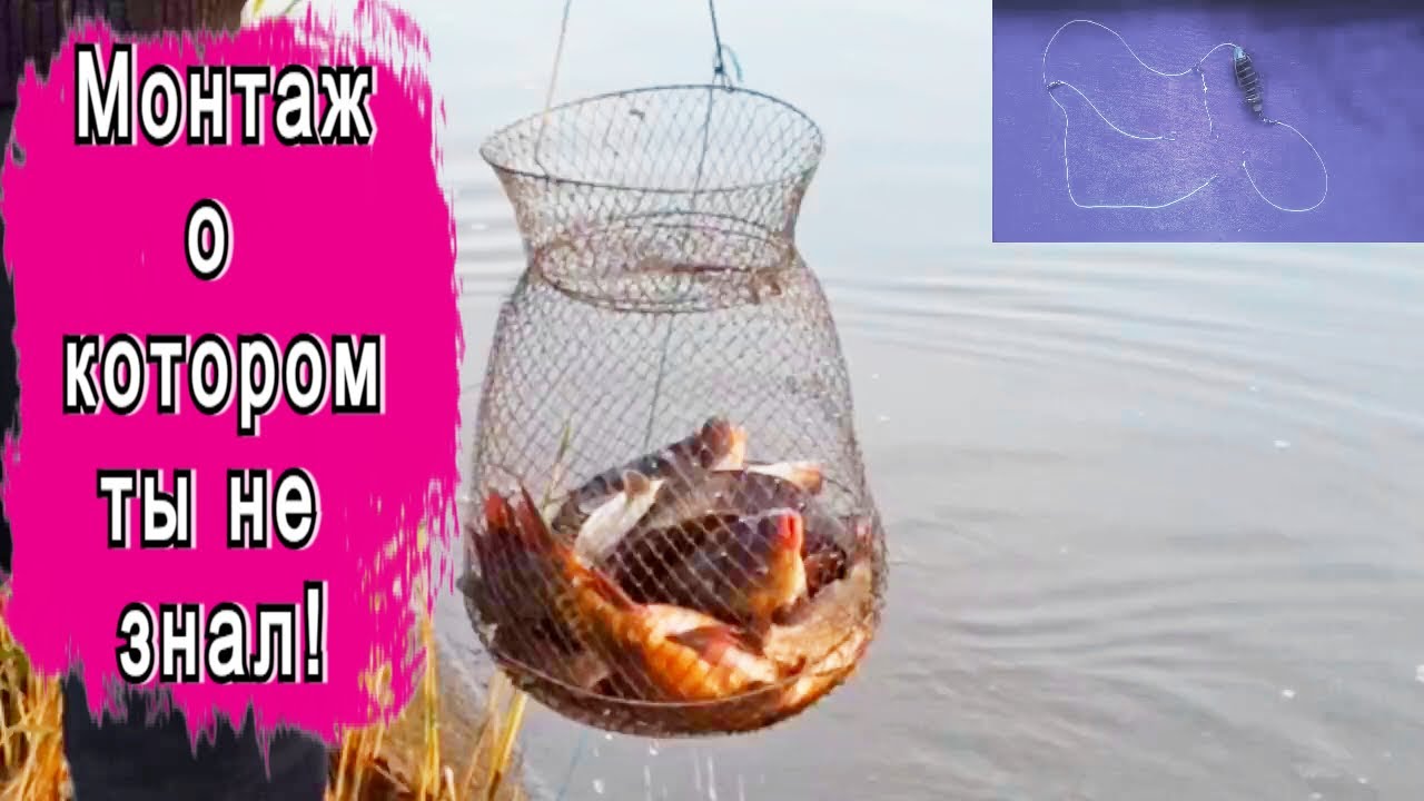 Донная снасть Пружина и 3 поводка для ловли Карпа карася и леща! Убийца ...