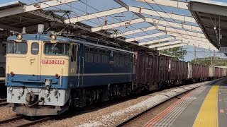 EF65形2000番台2088号機＋コキ100系20両が新座駅を通過（74レ）