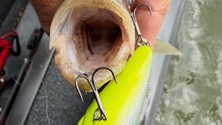 How To Know The Right Lure Size To Use