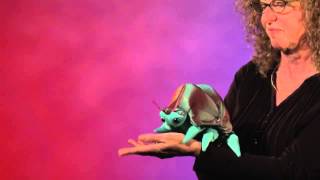 Handpop Landpissebed Folkmanis Bij Glazen Muiltje