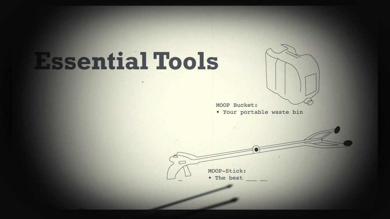DPW Playa Restoration Lesson #1: MOOP Basics