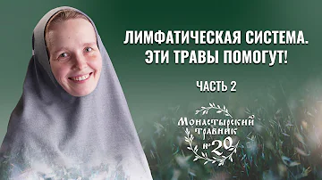 Какие травы применять? К здоровью через лимфатическую систему. Монастырский травник. Часть 2
