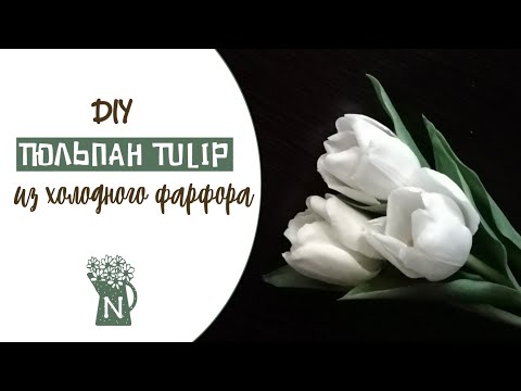 Video: Sivi Kalup Tulipana