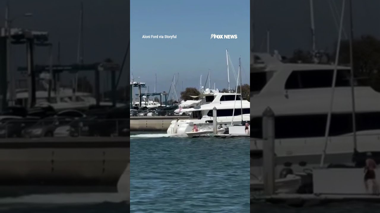  HE JUMPED OFF A Yacht Crashes Into Seawall Due To Mechanical Failure Shorts Viral Usa