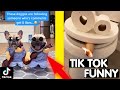 Funny TikTok Video - Try Not to Laugh