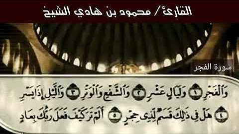 سورة الفجر 🌆 قراءة هادئة للقارئ محمود هادي