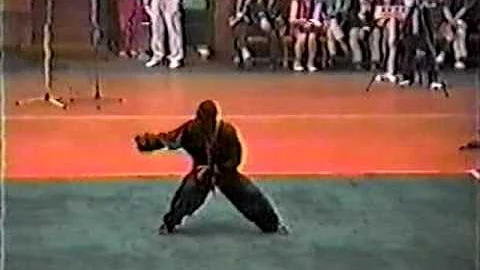 Tracy Fleming Amazing Kung Fu Exhibition.mpg