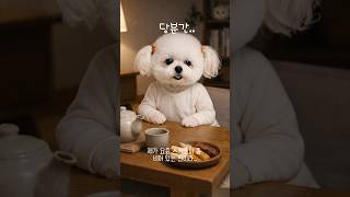 말순이근황 #귀여운강아지 #귀여운영상 #힐링영상 #강아지영상 #ai영상