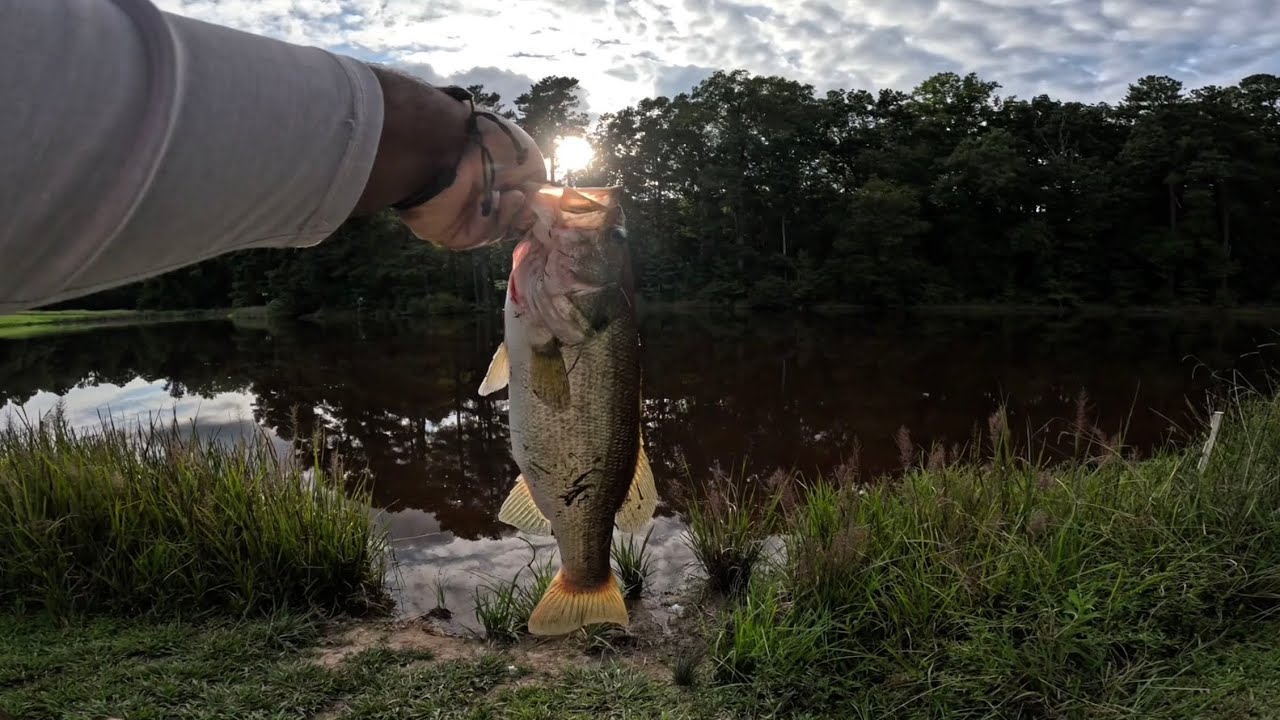 Hooked Into My BIGGEST Bass of the Year!!!