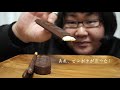 ASMR 板チョコアイス でかポッキー パキシエル 咀嚼音 chocolate icecream