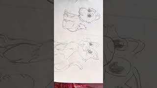 My Bunji Drawings