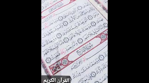 سورة الضحى تلاوة خاشعة | الشيخ ماهر المعيقلي| 🌹🌹