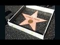 Tiny wall built around Trump's Hollywood star