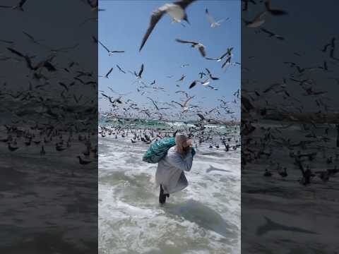 بداية موسم صيد السردين في محافظة ظفار