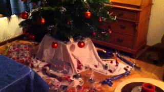 Das Verschwundene Pckli