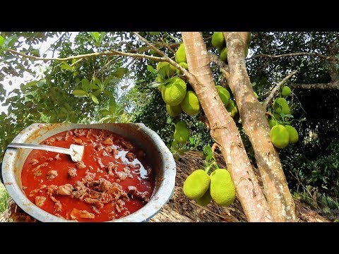 cooking-farm-fresh-raw-jackfruit-curry-village-style---how-to-cook-jackfruit-curry-recipe-indian