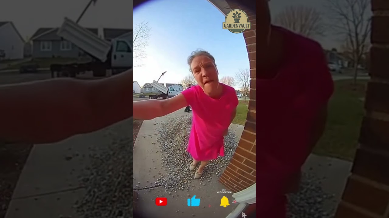 Члены ТСЖ поскользнулись на гравии 😳🪨 (Зафиксировано камерой Ring)