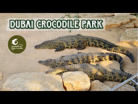 DUBAI CROCODILE PARK | Crocodile Park Dubai Full Tour