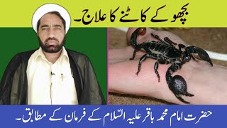 Bichhoo Ke Katne Ka Ilaj  | Scorpion Treatment According to Hazrat imam Baqir (A.S) screenshot 1