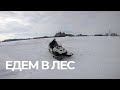 НА СНЕГОХОДЕ В ЛЕСУ BRP LYNX ARMY