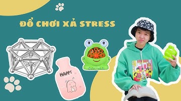 Tôm Chơi Thử Các Đồ Chơi Xả Stress Rất Vui
