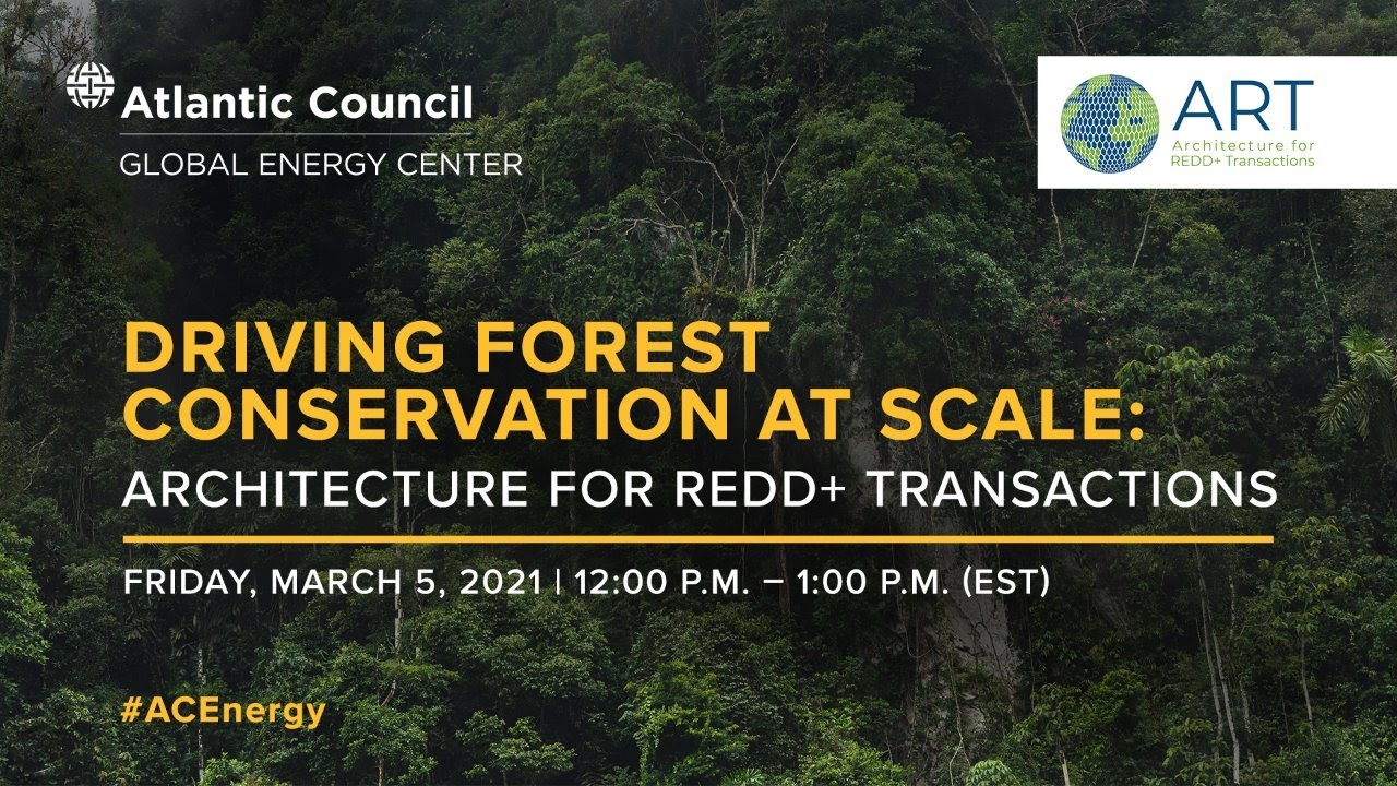 Winrock International » Webinar Features Winrock's Mary on Forest Conservation at Scale with Architecture for REDD+ Transactions (ART)