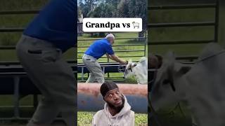 Grandpa Wasn’t Ready For This Battle 😂🐏🤦🏾‍♂️