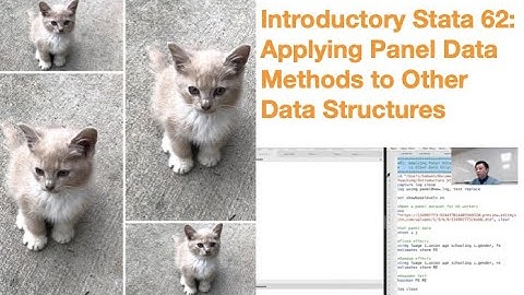 Introductory Stata 62: Applying Panel Data Methods to Other Data Structures