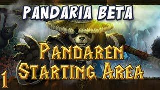 Panda Starting Area Part 1 - Character Creation