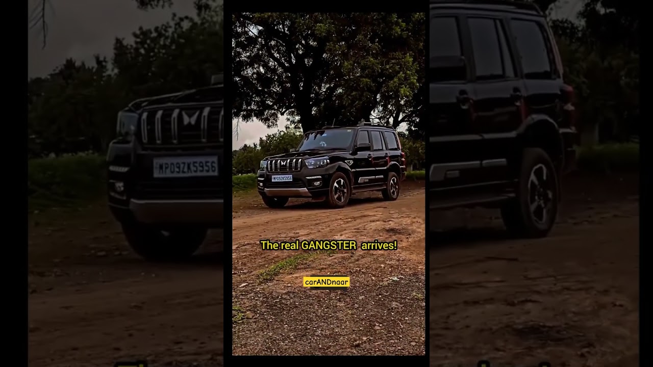 Everyone is a gangster until the real one arrives 