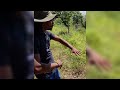 Sécheresse en Martinique : Agriculteur au Prêcheur