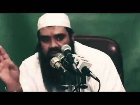 الشيخ سمير مصطفى الامام الغزالى