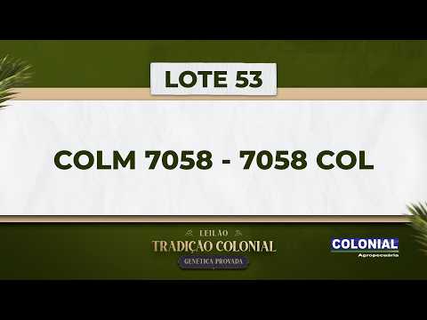 LOTE 53   COLM 7058   7058 COL