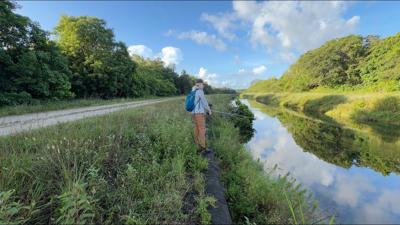 Summer Florida Fishing Near the Everglades as a Beginner