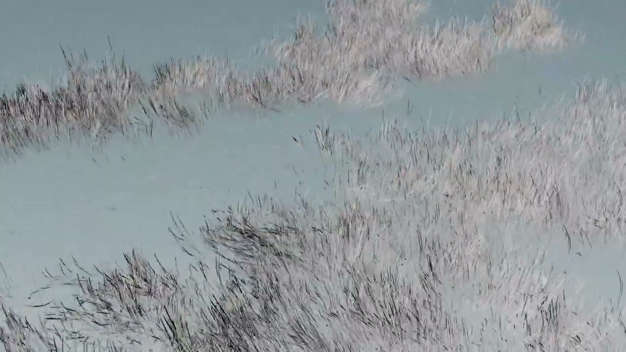 Simulating the swaying motion of grass in the wind using Houdini's Hair module