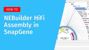 NEBuilder HiFi Assembly in SnapGene