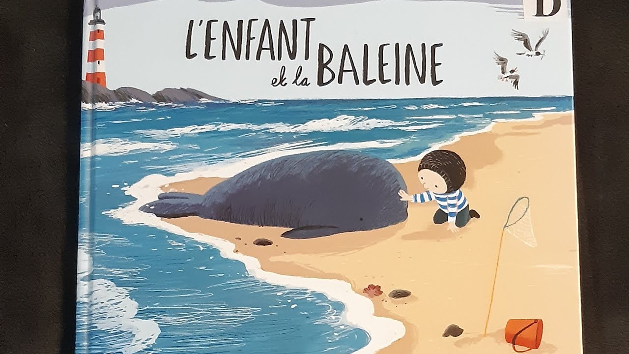 L'enfant et la baleine 🐳