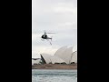 Thrilling helicopter dive into Sydney Harbour 🚁 #shorts